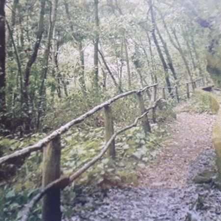 Brenas Garden C9 Leilighet Breña Baja Eksteriør bilde