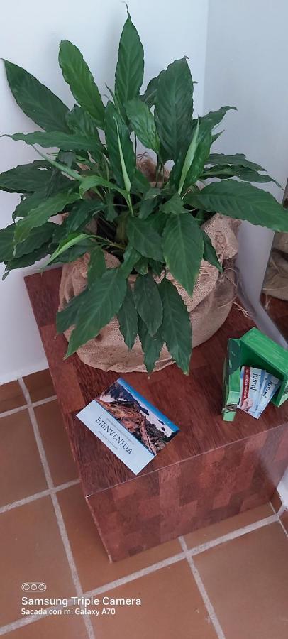 Brenas Garden C9 Leilighet Breña Baja Eksteriør bilde