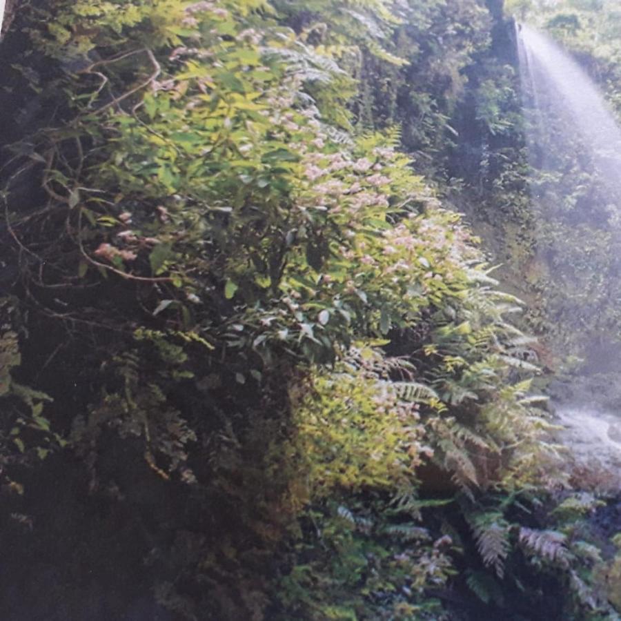 Brenas Garden C9 Leilighet Breña Baja Eksteriør bilde